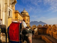 นั่งช้างชมวัง Amber Fort