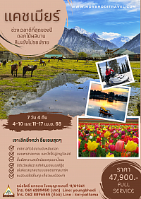 แคชเมียร์ 7 วัน 4 คืน เทศกาลทิวลิป