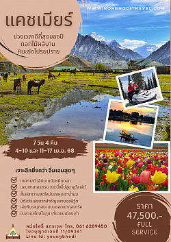 ทัวร์ชมทิวลิปแคชเมียร์